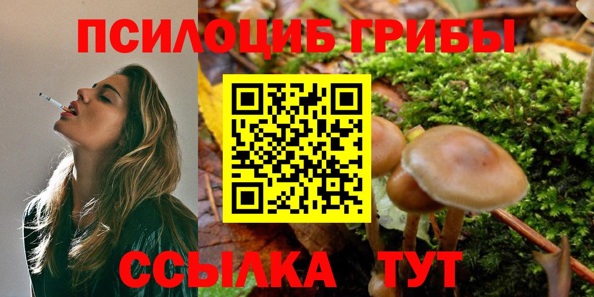 Мыски  Галлюциногенные грибы Psilocybe  как найти закладки  Вход с VPN 