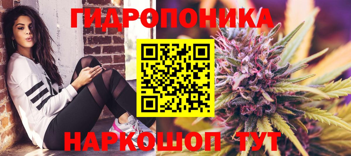 Каннабис Bruce Banner  МАРИХУАНА планчик  Вход с VPN  Мыски 